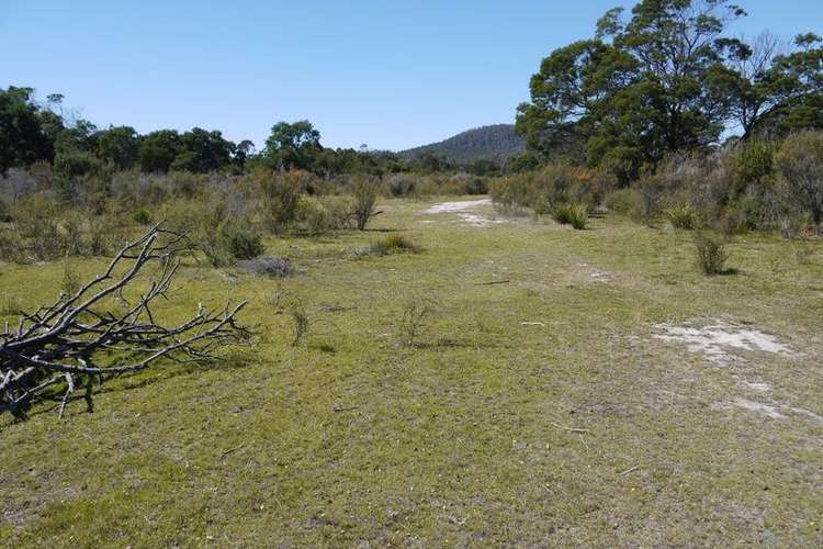 Main view of Homely residentialLand listing, Lot 8/1530 Coles Bay Road, Coles Bay TAS 7215