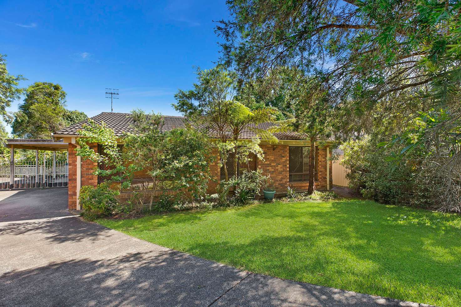 Main view of Homely house listing, 5 Ronda Close, Berkeley Vale NSW 2261
