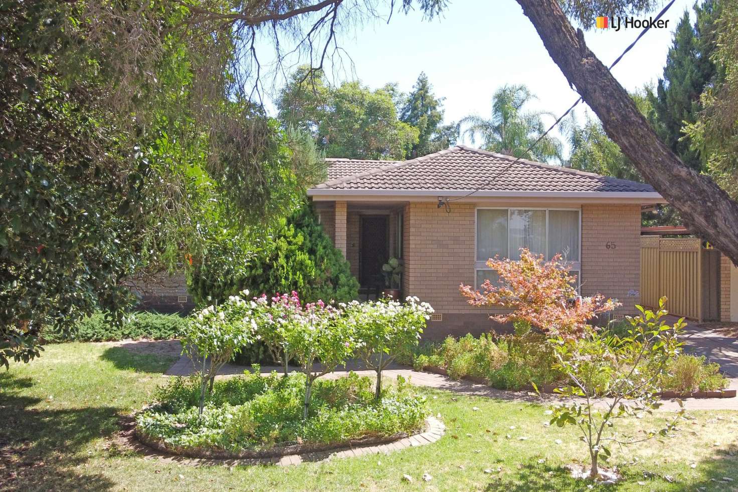 Main view of Homely house listing, 65 Fay Avenue, Kooringal NSW 2650