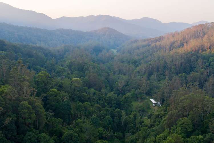 Main view of Homely residentialLand listing, Lot 74 Mt Cougall Road, Tallebudgera Valley QLD 4228