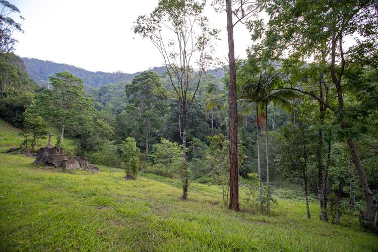 Fourth view of Homely residentialLand listing, Lot 74 Mt Cougall Road, Tallebudgera Valley QLD 4228