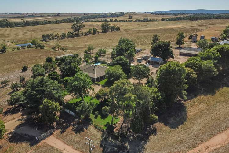 Fourth view of Homely ruralOther listing, 1106 Scenic Road, Young NSW 2594