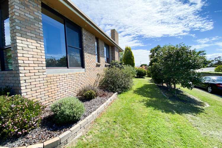 Main view of Homely house listing, 19 Mimosa Street, St Helens TAS 7216