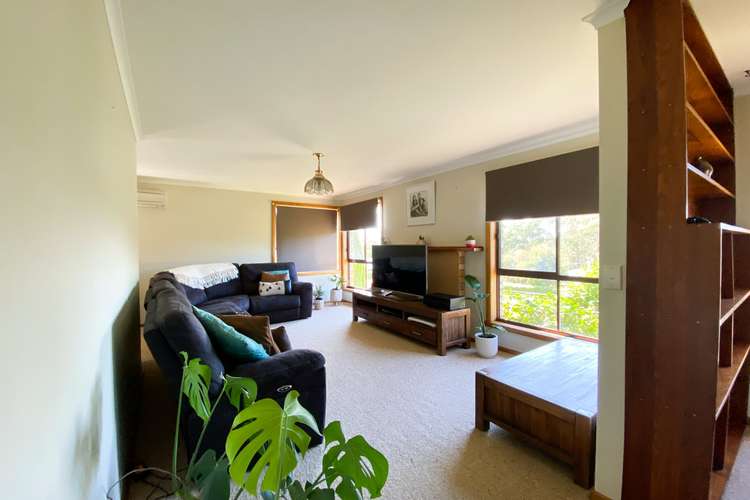 Third view of Homely house listing, 19 Mimosa Street, St Helens TAS 7216