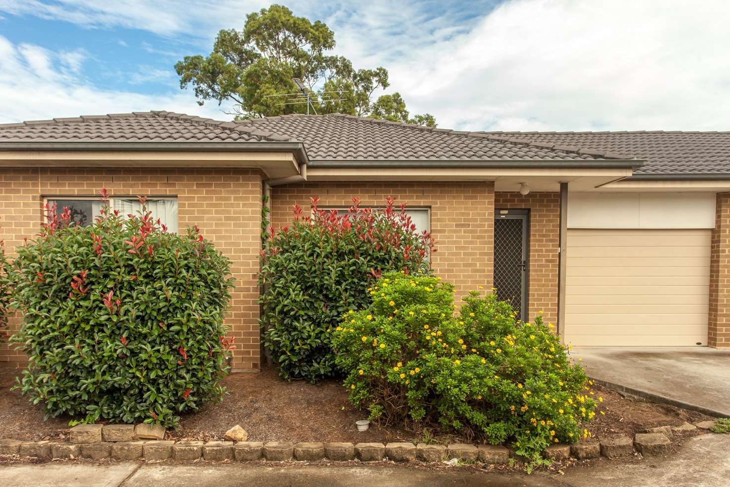 Main view of Homely unit listing, 8/35 Rawson Street, Aberdare NSW 2325