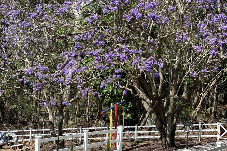 Third view of Homely residentialLand listing, Lot 9 First Avenue, Somerset Dam QLD 4312