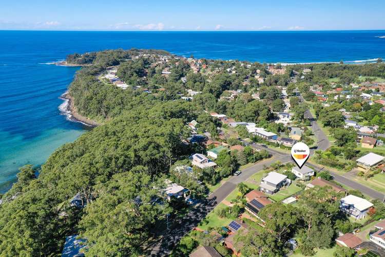 Main view of Homely house listing, 31 Tallwood Avenue, Mollymook NSW 2539