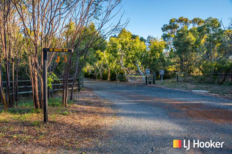 Fifth view of Homely house listing, 21 Citrus Court, Two Rocks WA 6037