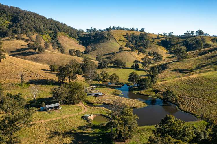 Main view of Homely ruralOther listing, 185 Plantation Lane, Cedar Party NSW 2429