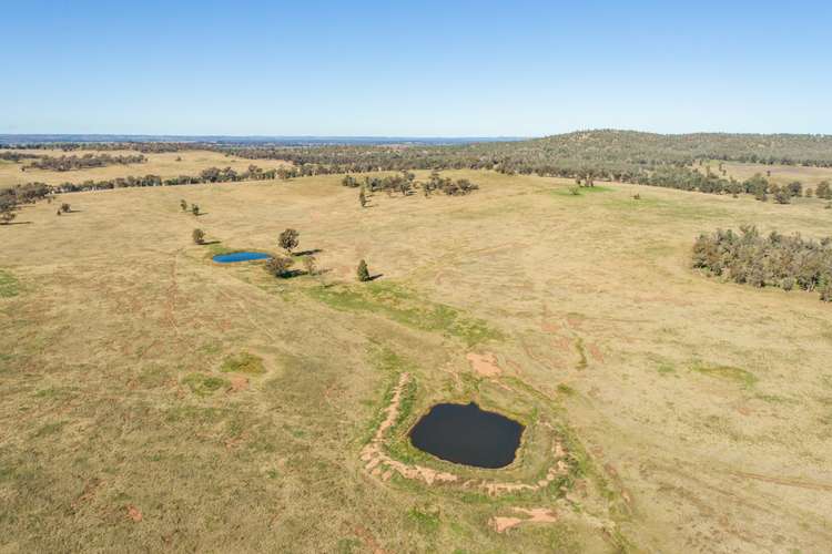 Seventh view of Homely residentialLand listing, 54 Silo Road, Young NSW 2594