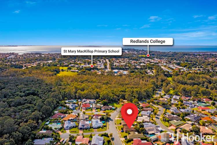 Third view of Homely house listing, 49 Tulloch Drive, Wellington Point QLD 4160