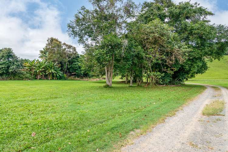 Sixth view of Homely residentialLand listing, 15-17 Daly Street, Daintree QLD 4873