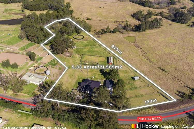 Main view of Homely acreageSemiRural listing, 305 Cut Hill Road, Cobbitty NSW 2570