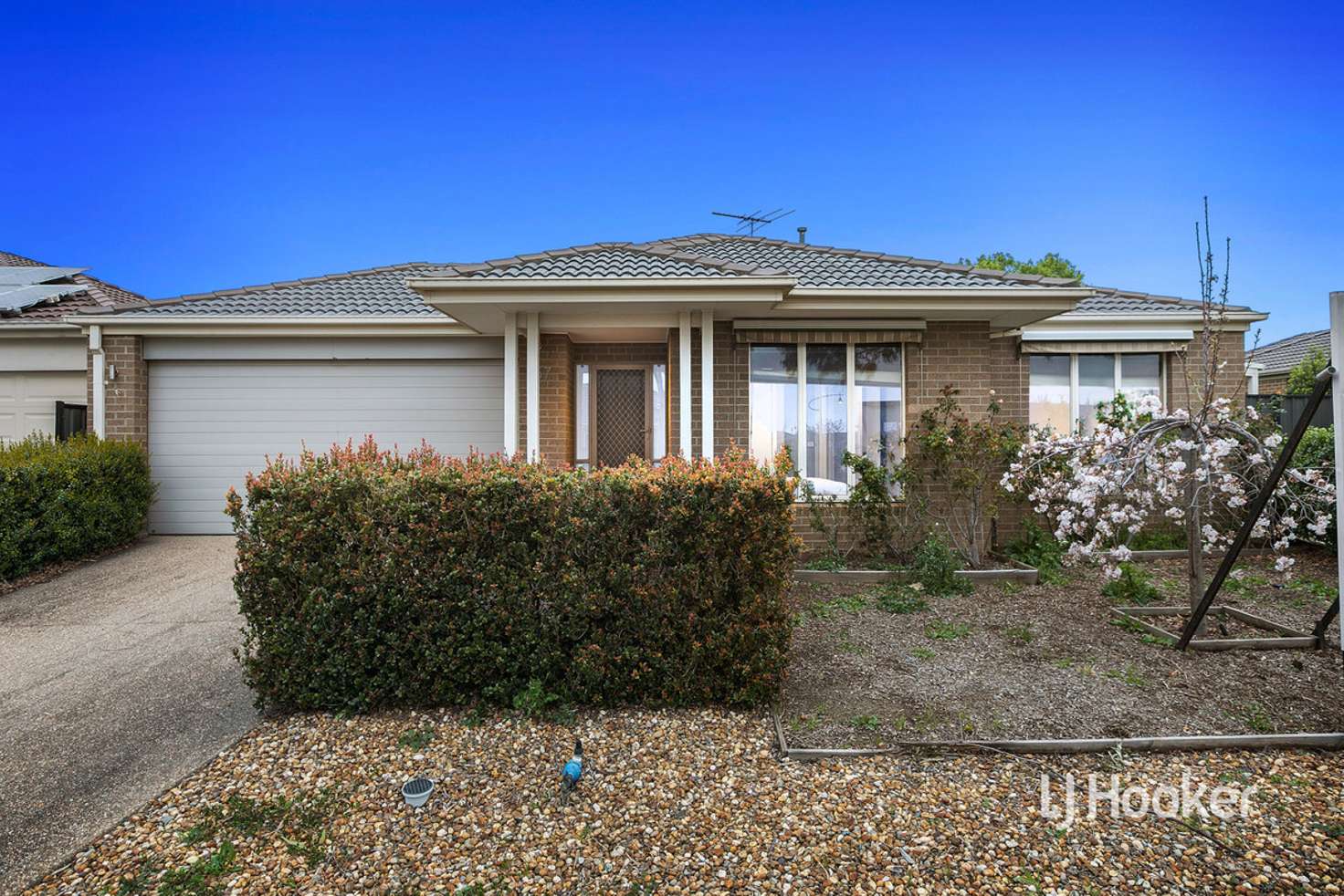 Main view of Homely house listing, 57 Miles Franklin Boulevard, Point Cook VIC 3030