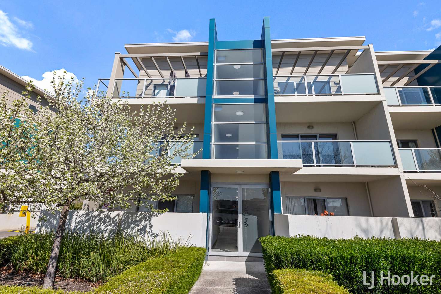 Main view of Homely apartment listing, 61/311 Flemington Road, Franklin ACT 2913