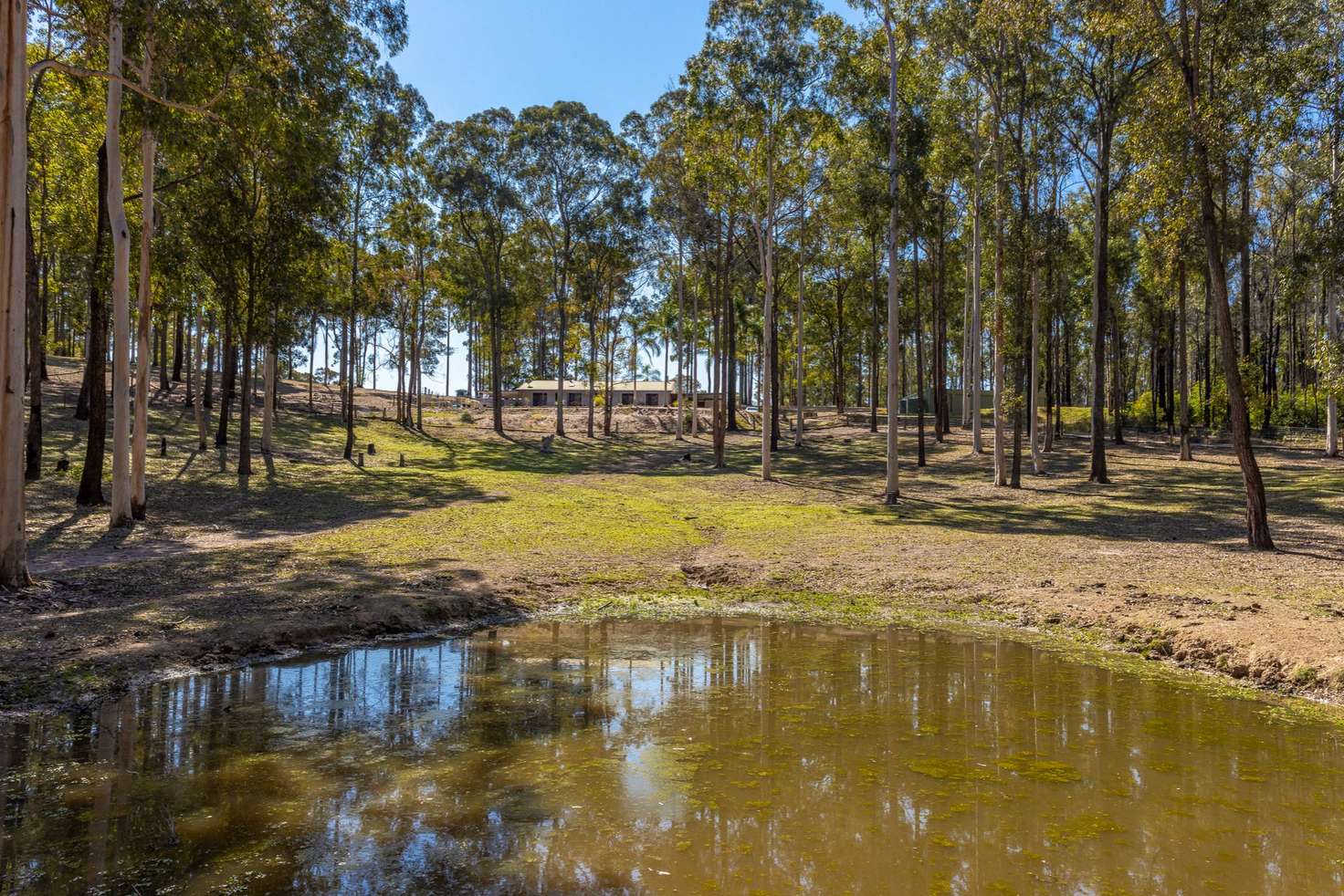 Main view of Homely ruralOther listing, 22 Bayel Drive, Koorainghat NSW 2430