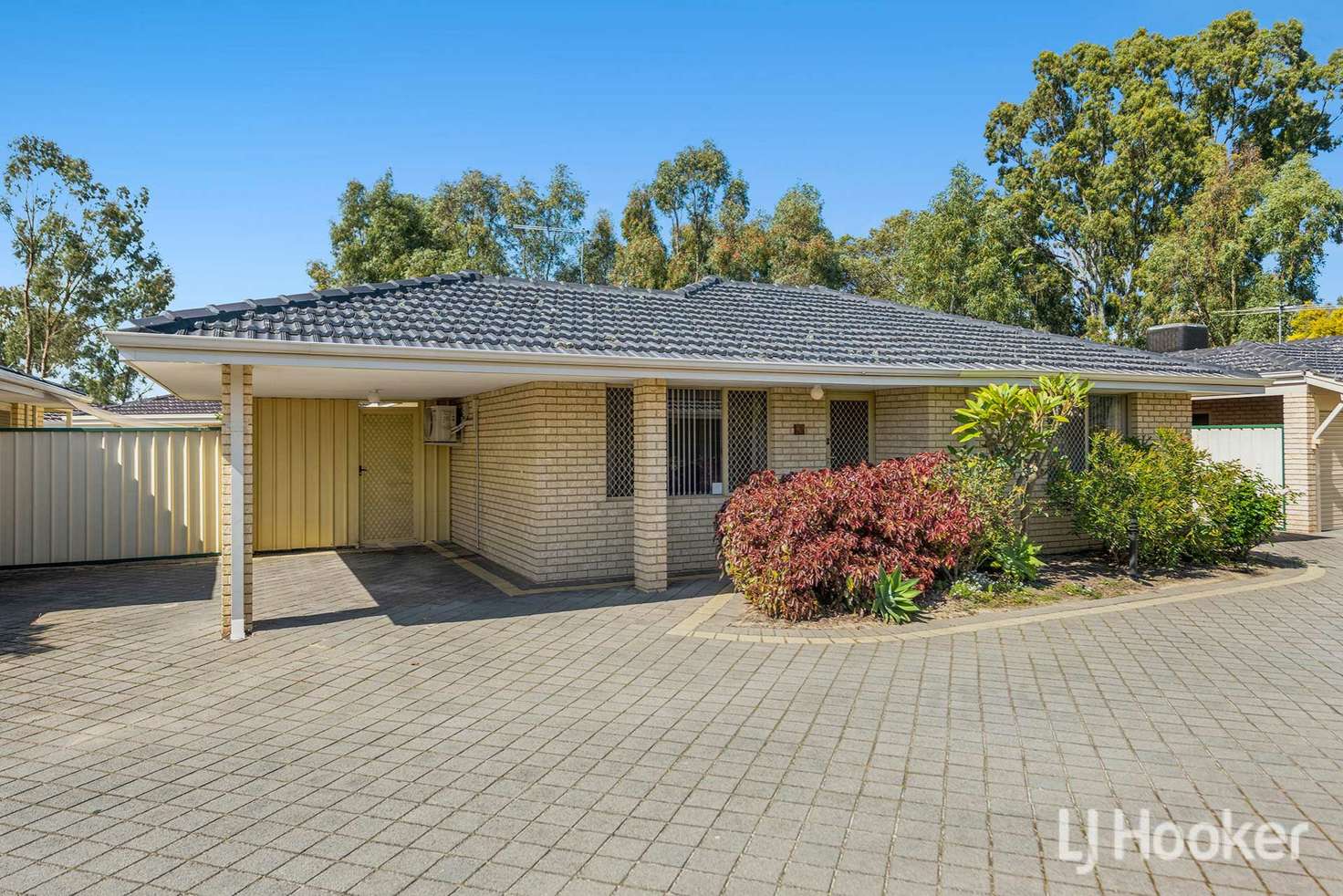 Main view of Homely villa listing, 3/11 Firetail Place, Kenwick WA 6107