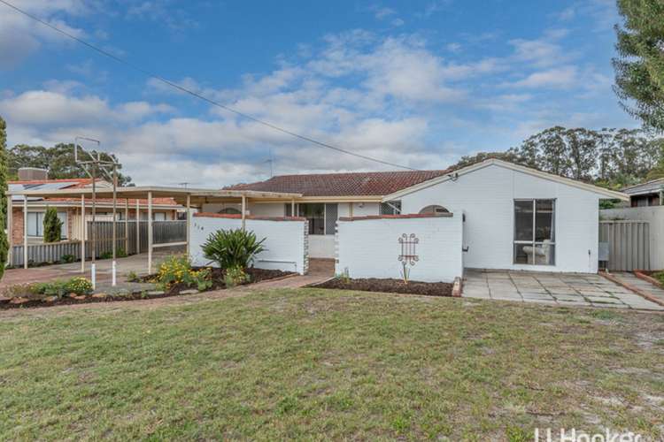 Main view of Homely house listing, 114 Partridge Way, Thornlie WA 6108