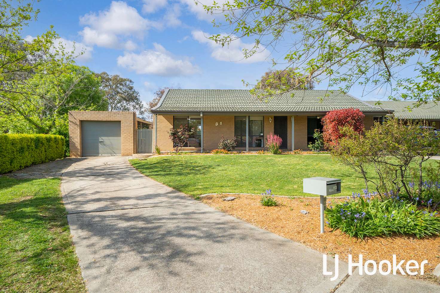 Main view of Homely house listing, 31 Le Souef Crescent, Florey ACT 2615