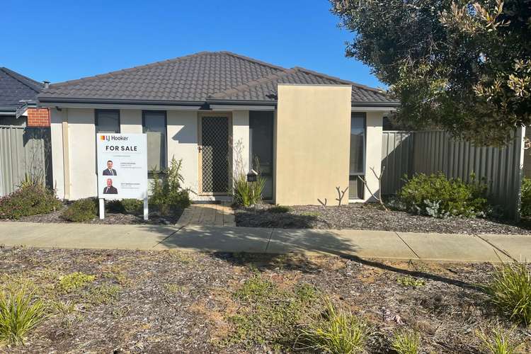 Main view of Homely house listing, 14 Thaxted Street, Wellard WA 6170
