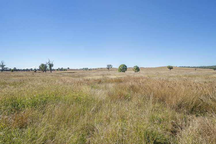Third view of Homely ruralOther listing, Lot 27 Tuites Lane, Biarra QLD 4313
