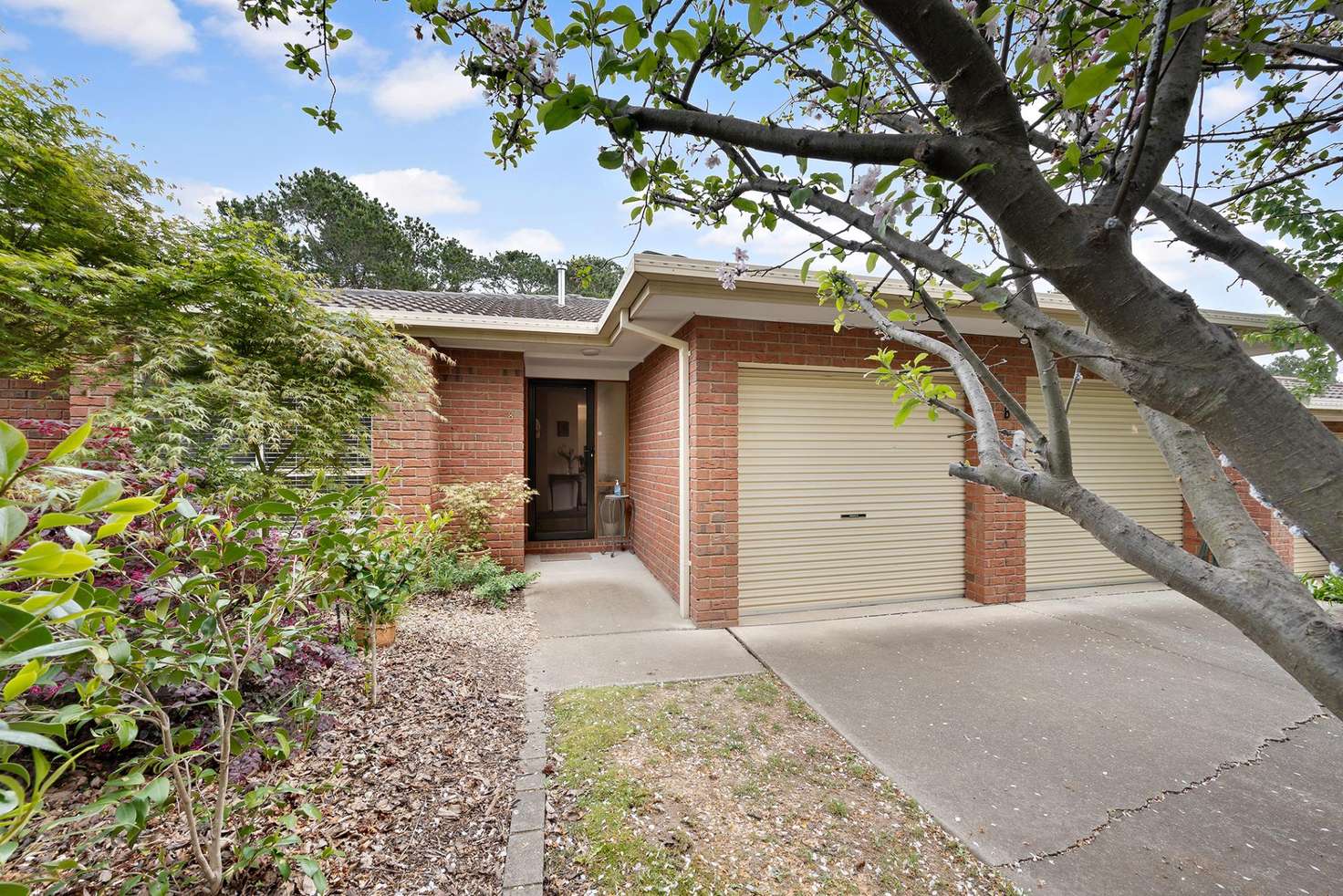 Main view of Homely townhouse listing, 8/106 Britten-Jones Drive, Holt ACT 2615