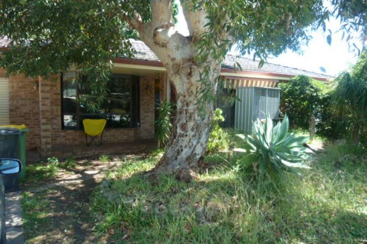 Second view of Homely house listing, 39 Constantine Court, Thornlie WA 6108