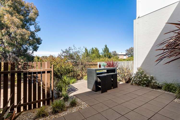 Third view of Homely townhouse listing, 14/23 Renouf Street, Casey ACT 2913