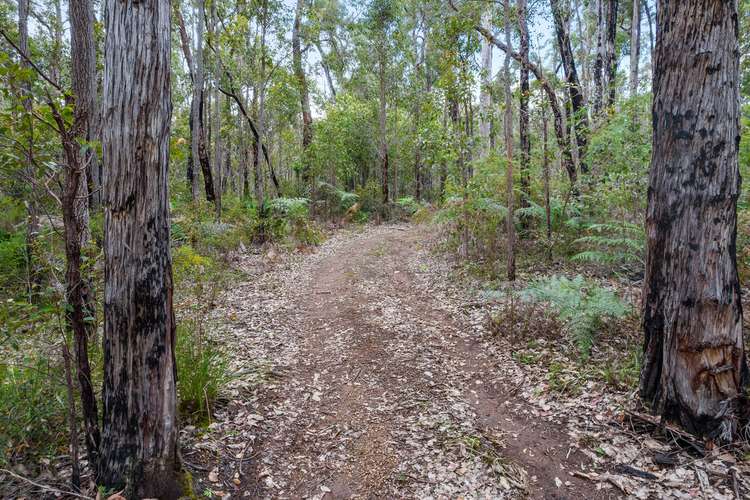 Seventh view of Homely residentialLand listing, Lot 28 Karri Lane, Quinninup WA 6258