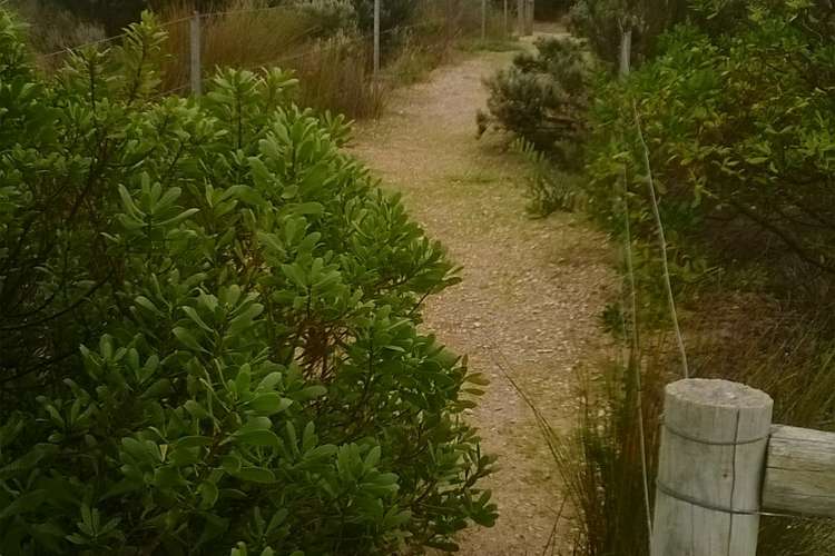 Seventh view of Homely residentialLand listing, Lot 102 Coorong Lane, Coorong SA 5264