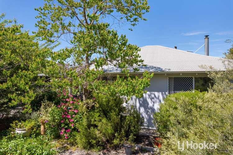 Third view of Homely house listing, 61 Mckinley Street, Collie WA 6225