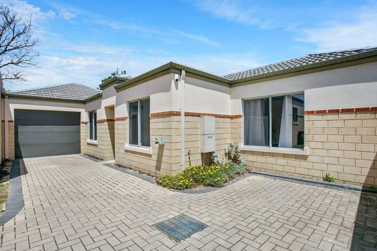 Main view of Homely house listing, 391C Flinders Street, Nollamara WA 6061