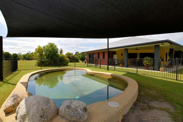 Main view of Homely house listing, 667 Old Tully Road, Feluga QLD 4854