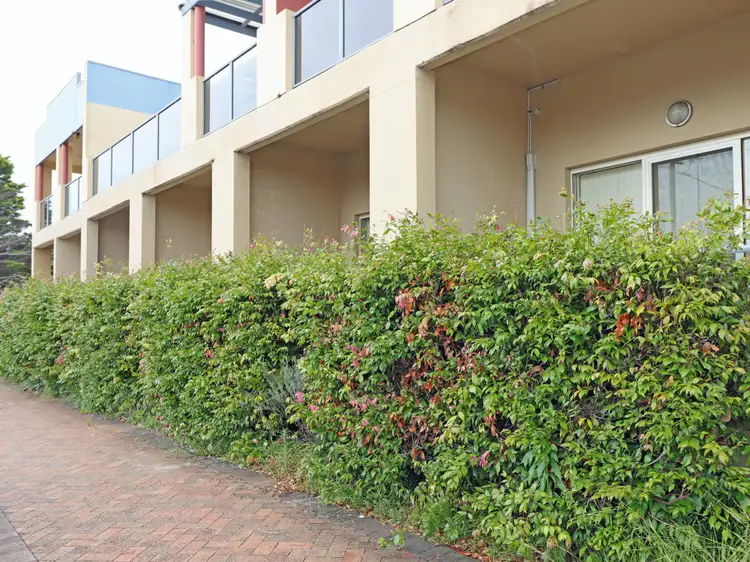Fifth view of Homely unit listing, Unit 4/185 Jacobs Drive, Sussex Inlet NSW 2540