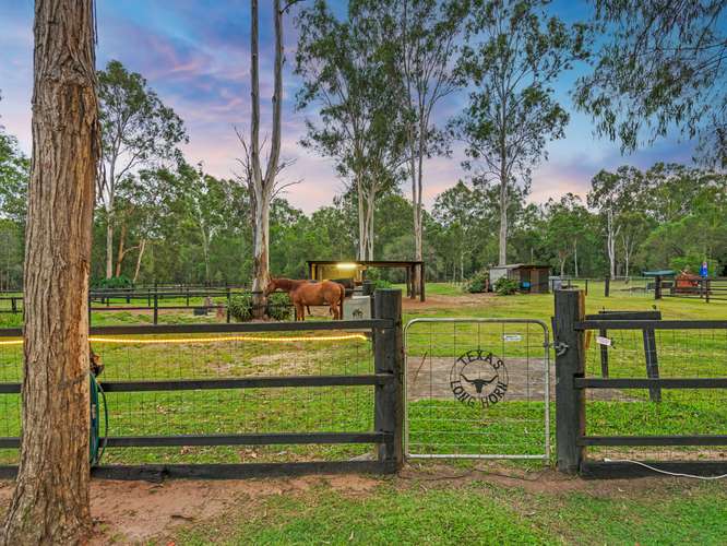 Main view of Homely acreageSemiRural listing, 106 Verbena Road, Tamborine QLD 4270