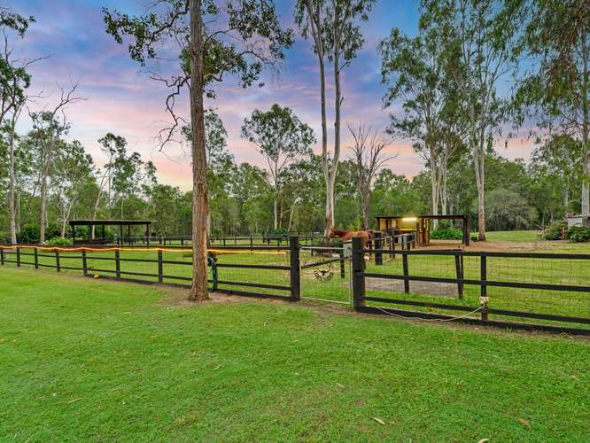 Sixth view of Homely acreageSemiRural listing, 106 Verbena Road, Tamborine QLD 4270