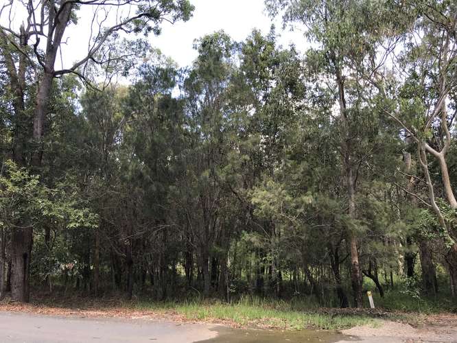 Second view of Homely residentialLand listing, 38 Wirralee Street, Macleay Island QLD 4184