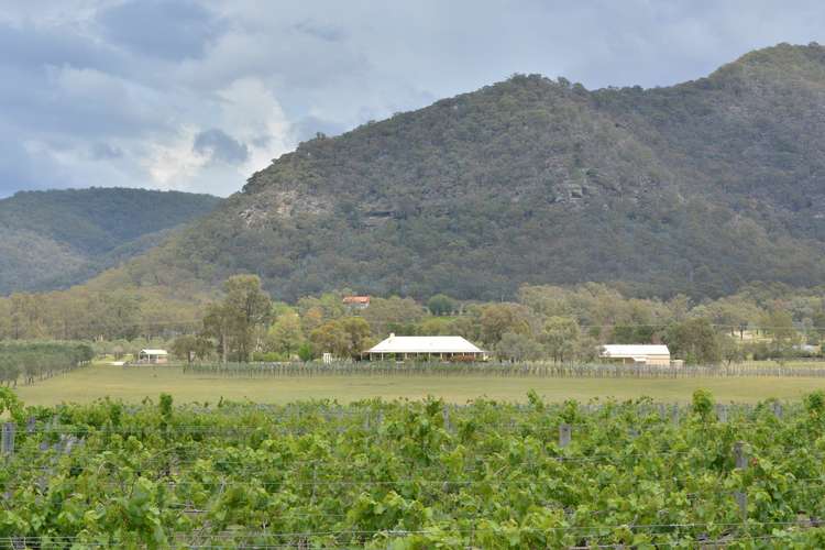 Main view of Homely ruralOther listing, 725 Milbrodale Road, Broke NSW 2330