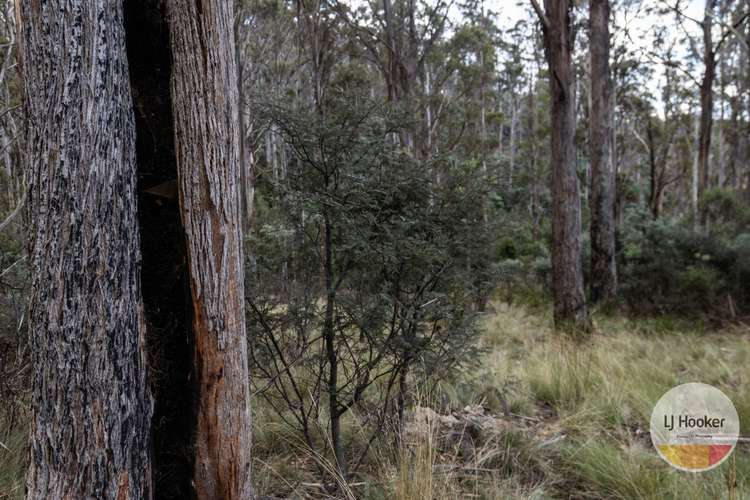 Seventh view of Homely residentialLand listing, 410 Springhill Bottom Road, Colebrook TAS 7027