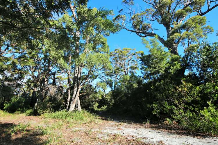 Fourth view of Homely residentialLand listing, 31 Felmingham Street, Binalong Bay TAS 7216