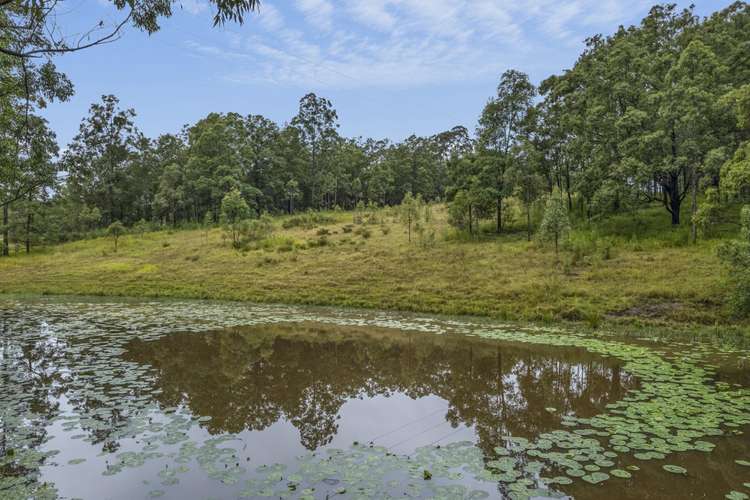 Main view of Homely ruralOther listing, Lot 511 Anembo Lane, Temagog NSW 2440