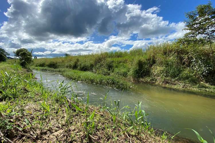 Fifth view of Homely cropping listing, 8 East Feluga Road, East Feluga QLD 4854