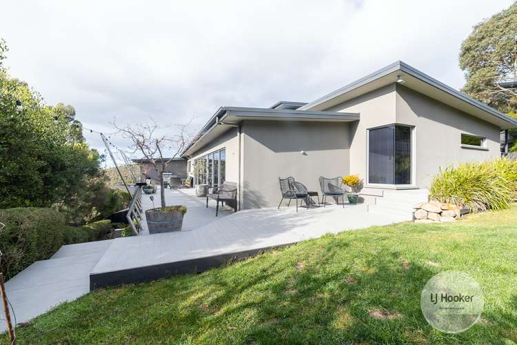 Fourth view of Homely house listing, 20 Pulchella Drive, Tolmans Hill TAS 7007