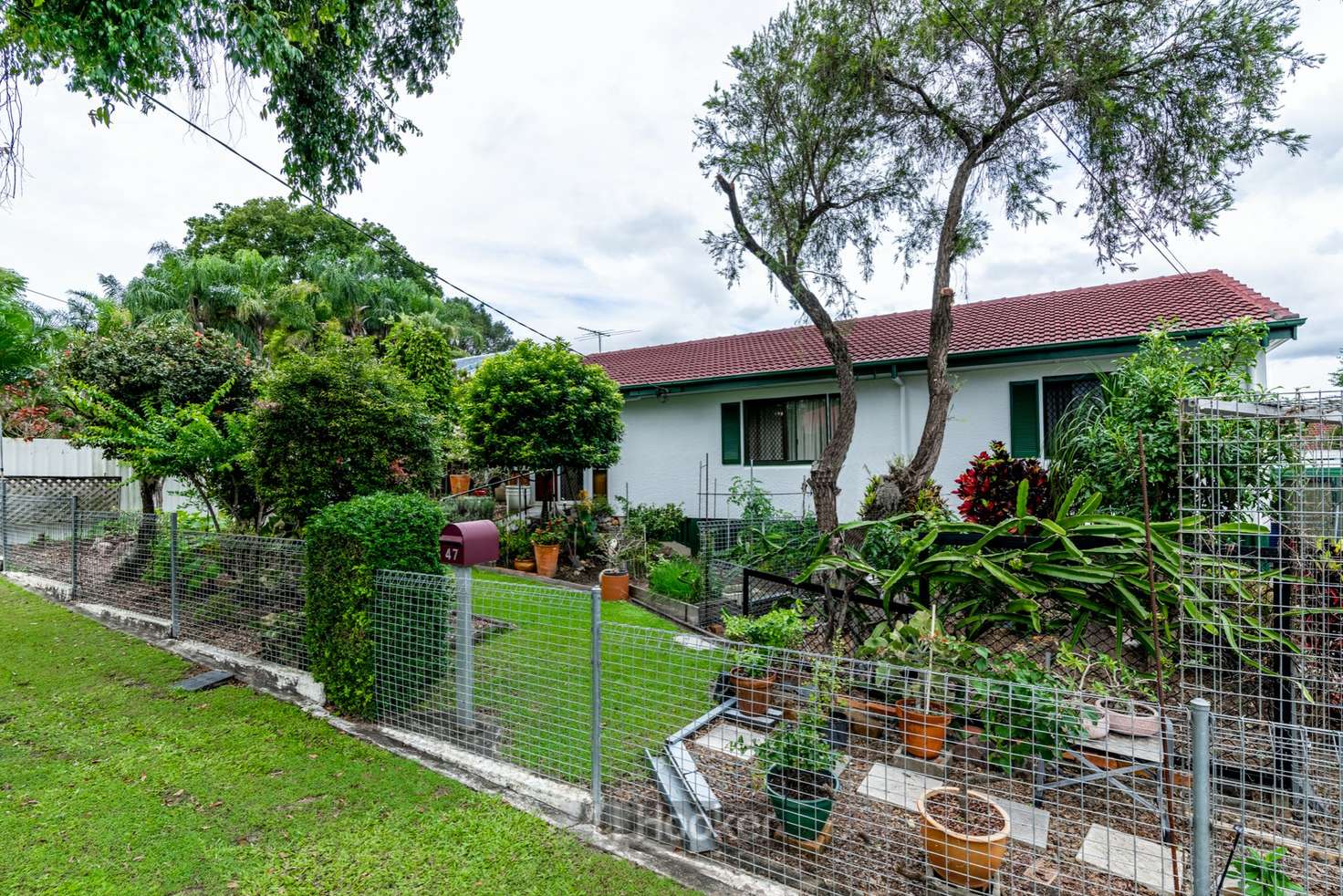 Main view of Homely house listing, 47 Sandpiper Street, Inala QLD 4077