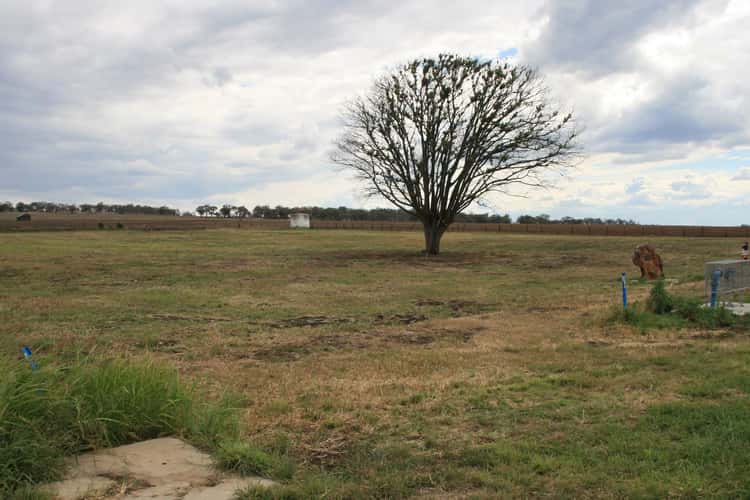 Fourth view of Homely ruralOther listing, Lot 164 Cnr Willowvale & Willowvale School Road, Warwick QLD 4370