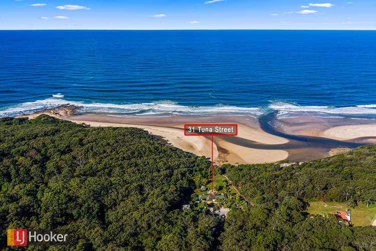 Main view of Homely house listing, 31 Tuna Street, Valla Beach NSW 2448