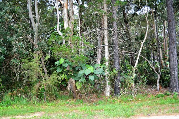 Main view of Homely residentialLand listing, 38 Alexander Street, Macleay Island QLD 4184