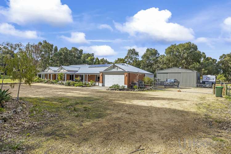 Third view of Homely house listing, 31 Cinnamon Meander, Two Rocks WA 6037