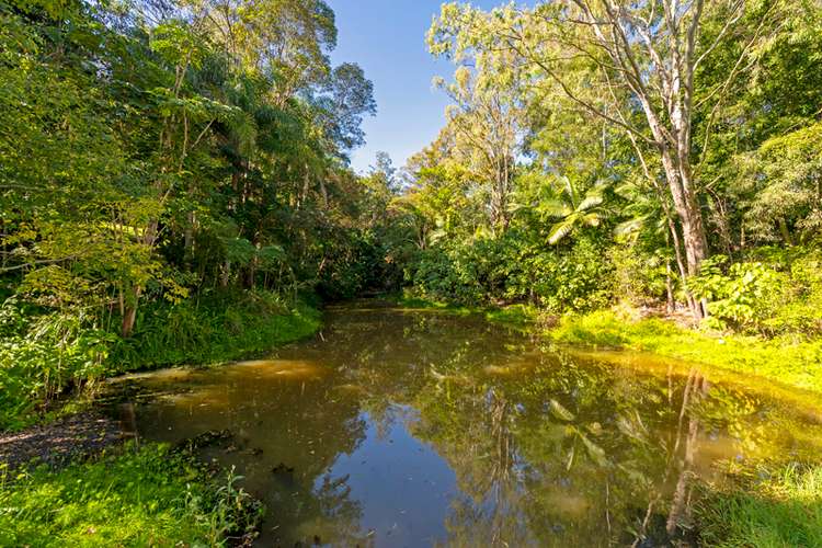 Fourth view of Homely acreageSemiRural listing, 106-116 Vonda Youngman Drive, Tamborine QLD 4270