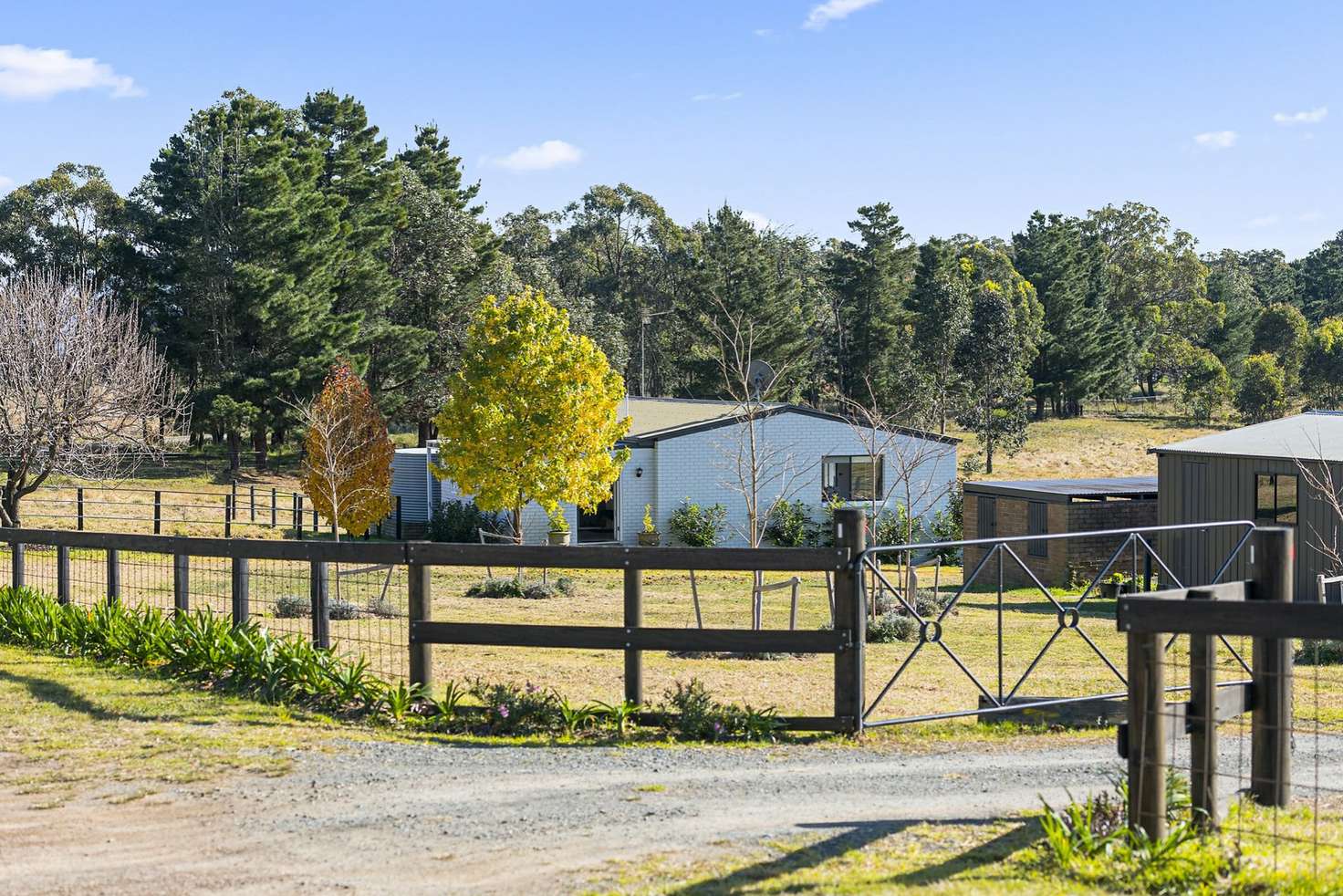 Main view of Homely house listing, 342 Nandi Road, Canyonleigh NSW 2577